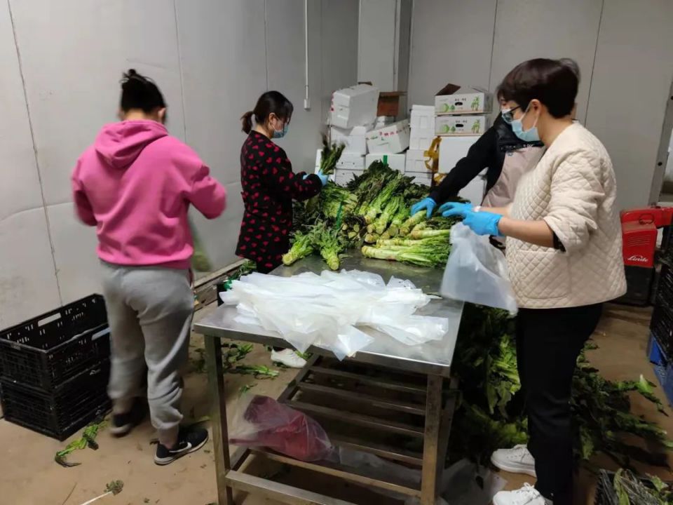 �й�������yl23455(����)���޹�˾-�ٷ���վ