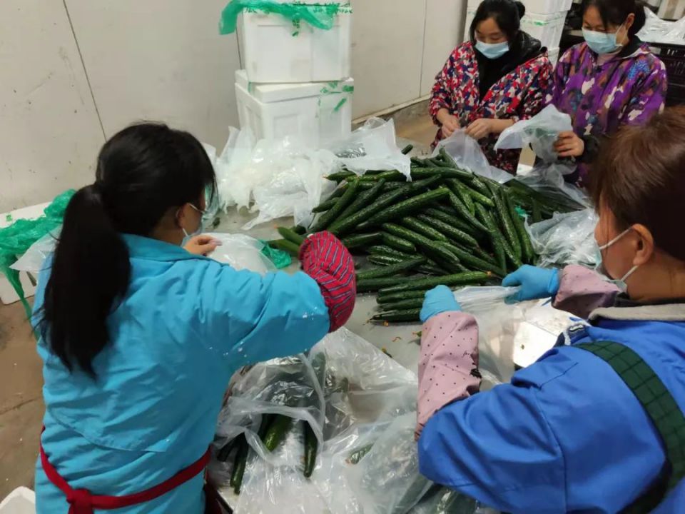 �й�������yl23455(����)���޹�˾-�ٷ���վ