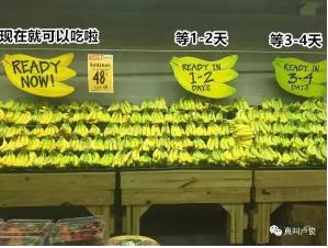 �й�������yl23455(����)���޹�˾-�ٷ���վ