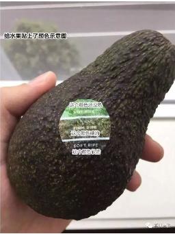 �й�������yl23455(����)���޹�˾-�ٷ���վ