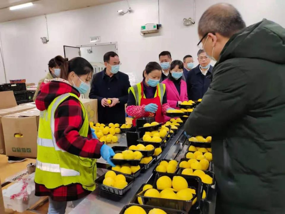 v 中国·永利yl23455(集团)有限公司-官方网站