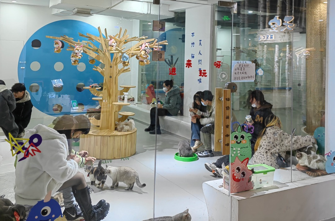 �й�������yl23455(����)���޹�˾-�ٷ���վ