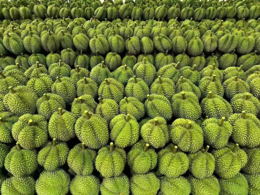 �й�������yl23455(����)���޹�˾-�ٷ���վ