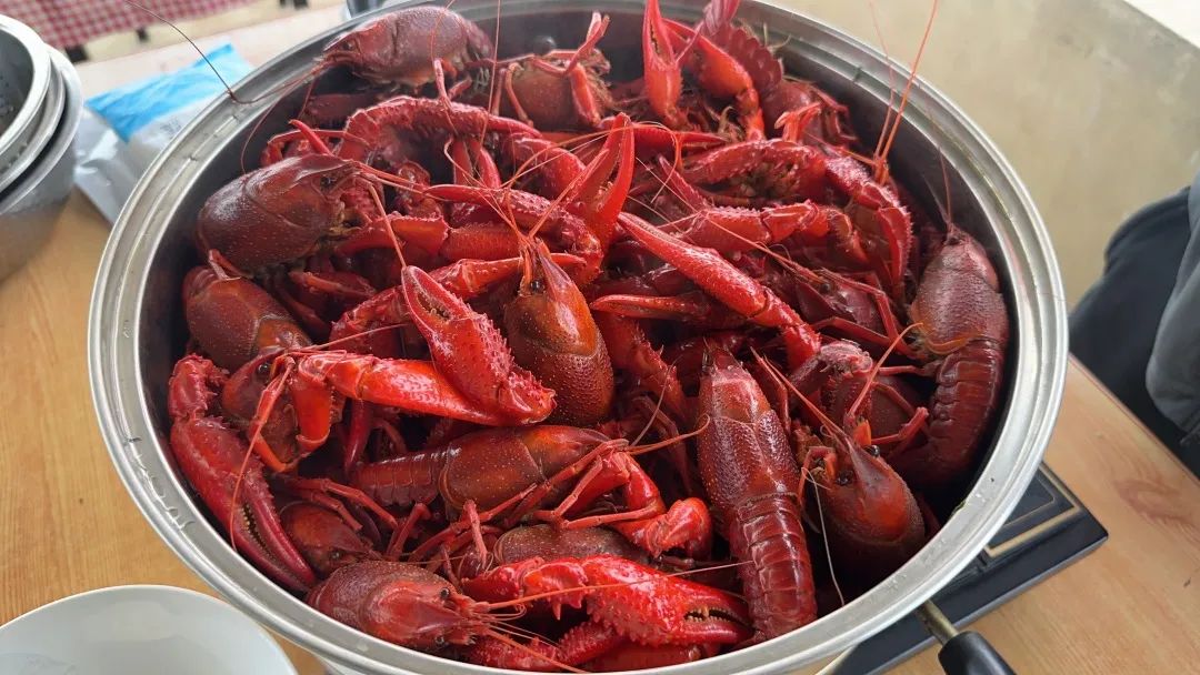 �й�������yl23455(����)���޹�˾-�ٷ���վ