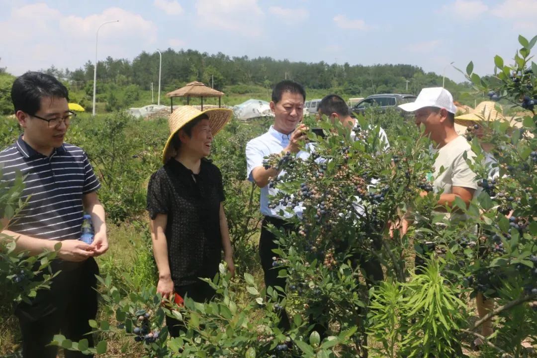 �й�������yl23455(����)���޹�˾-�ٷ���վ