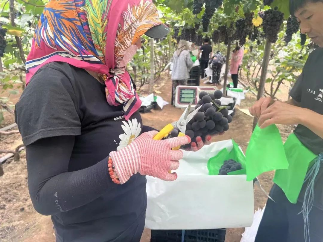 �й�������yl23455(����)���޹�˾-�ٷ���վ