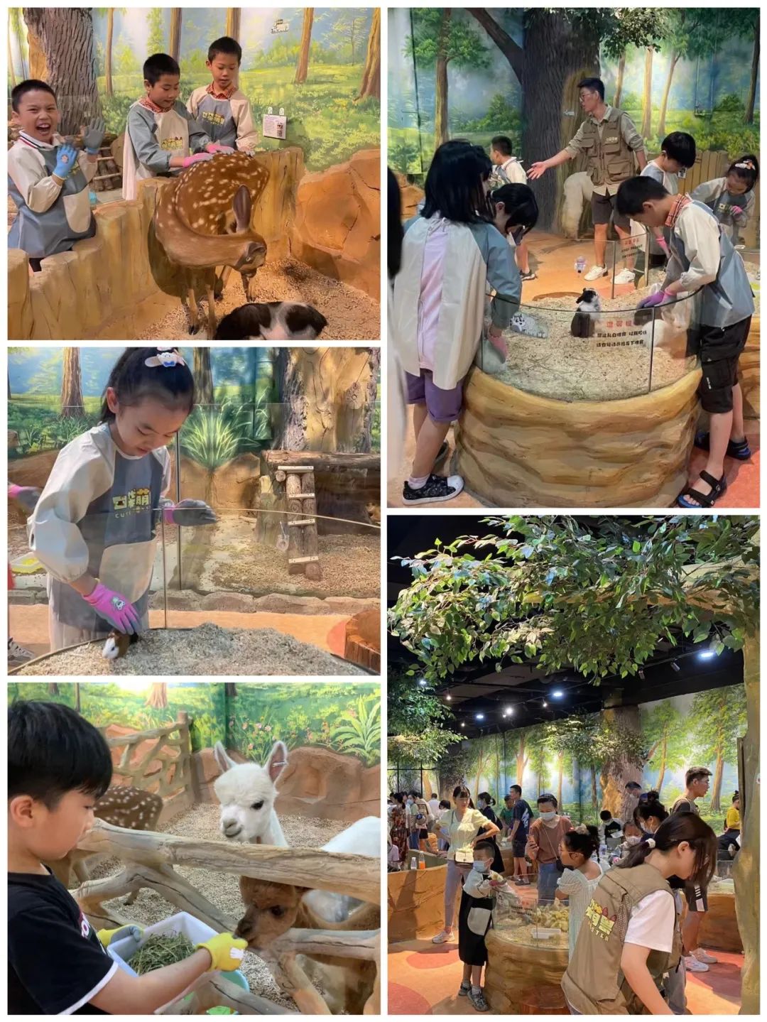 �й�������yl23455(����)���޹�˾-�ٷ���վ