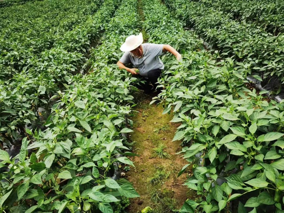 ce609e23ef7c697e237a0ca9e5911d94