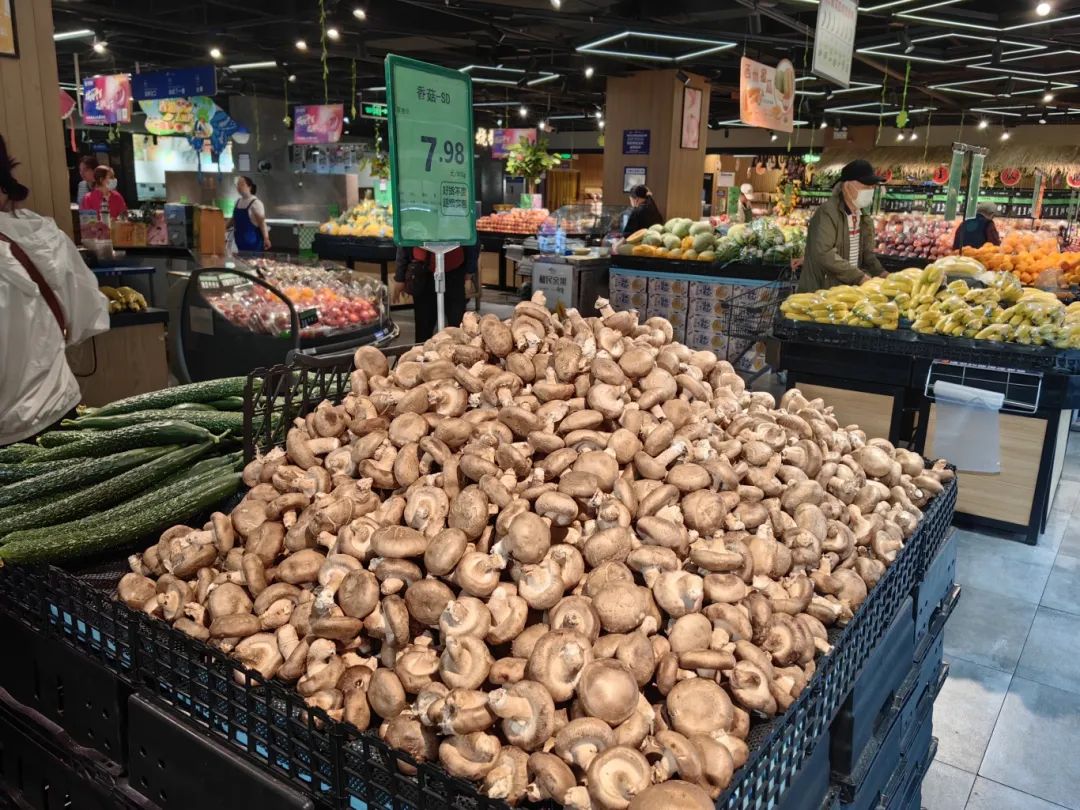 �й�������yl23455(����)���޹�˾-�ٷ���վ