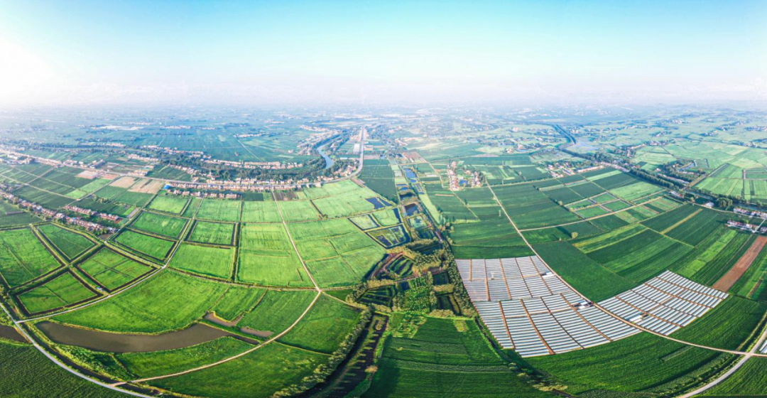 d340006dc4cac723e97f0d869786a2e0