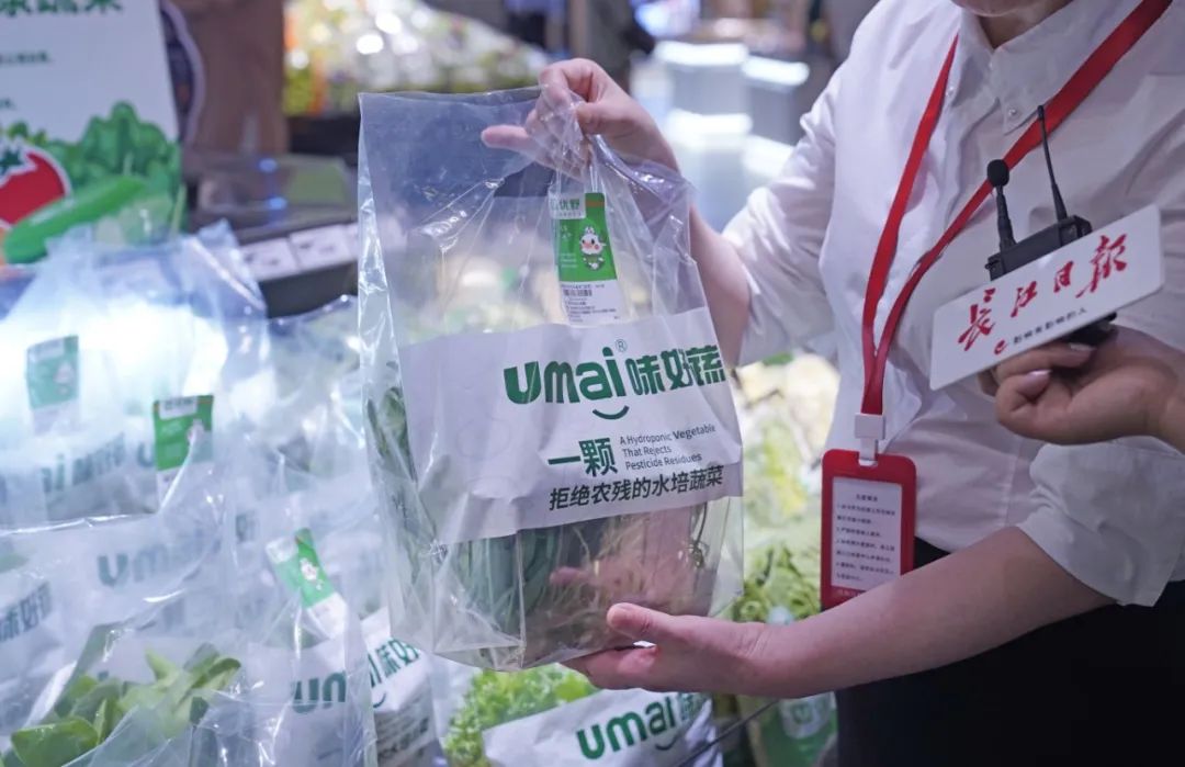 640?from=appmsg&tp=webp&wxfrom=5&wx_lazy=1&wx_co=1&wx_fmt=other ͼƬ