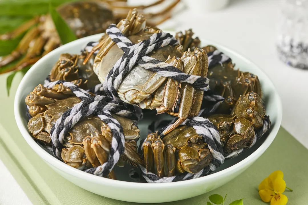 �й�������yl23455(����)���޹�˾-�ٷ���վ