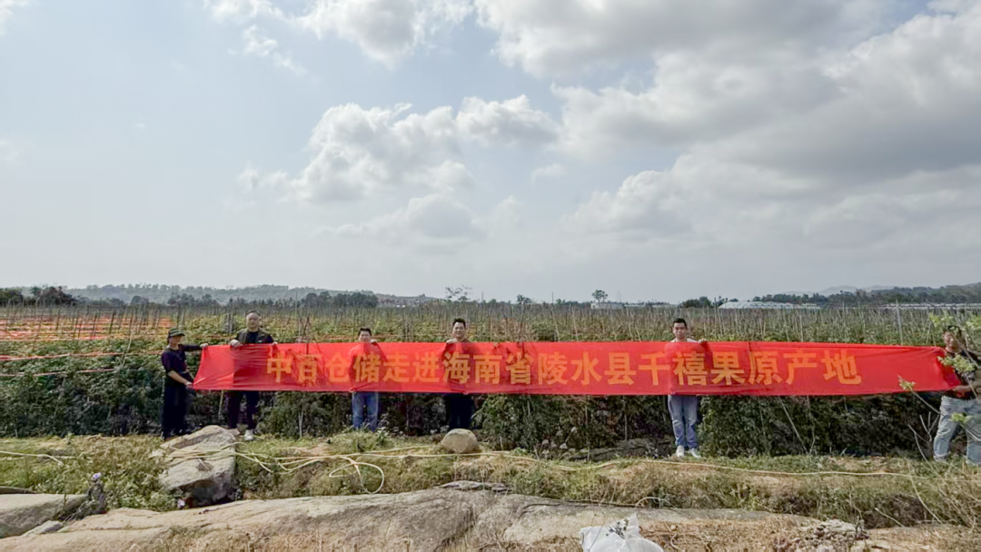 19a367663d34b0742ef4c1de68c10386