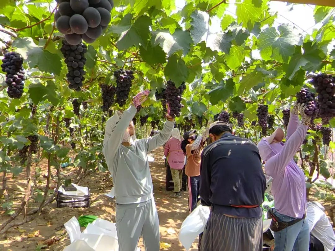 �й�������yl23455(����)���޹�˾-�ٷ���վ