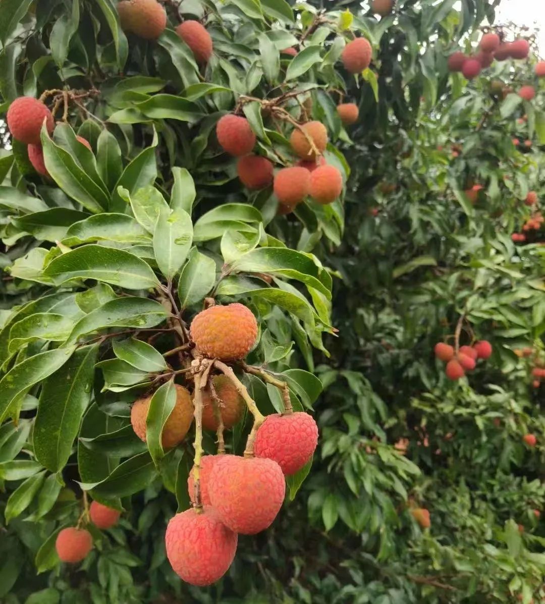 �й�������yl23455(����)���޹�˾-�ٷ���վ