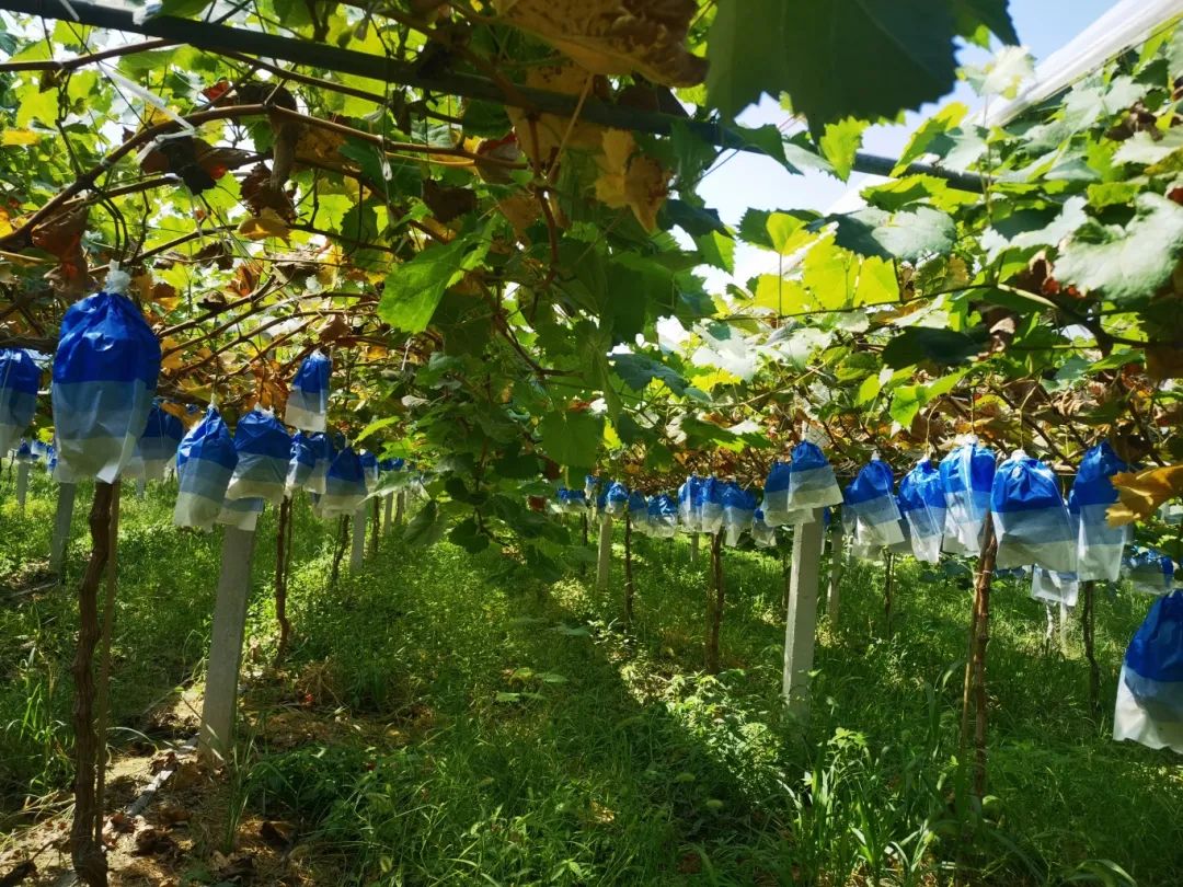 �й�������yl23455(����)���޹�˾-�ٷ���վ